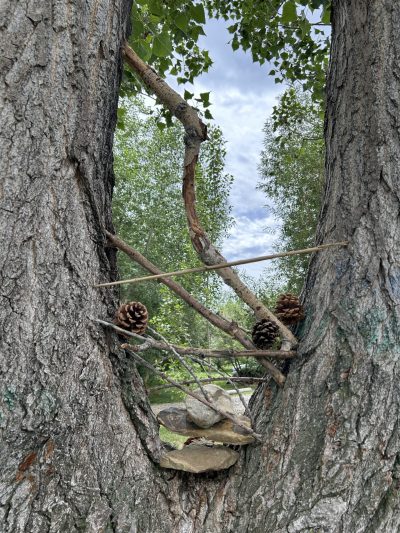 uuidA9868848-14E5-4D18-A066-0177A28C305Fcode001library1type1mode2loctruecaptrue-scaled-e1737433088939-400×533 (1)